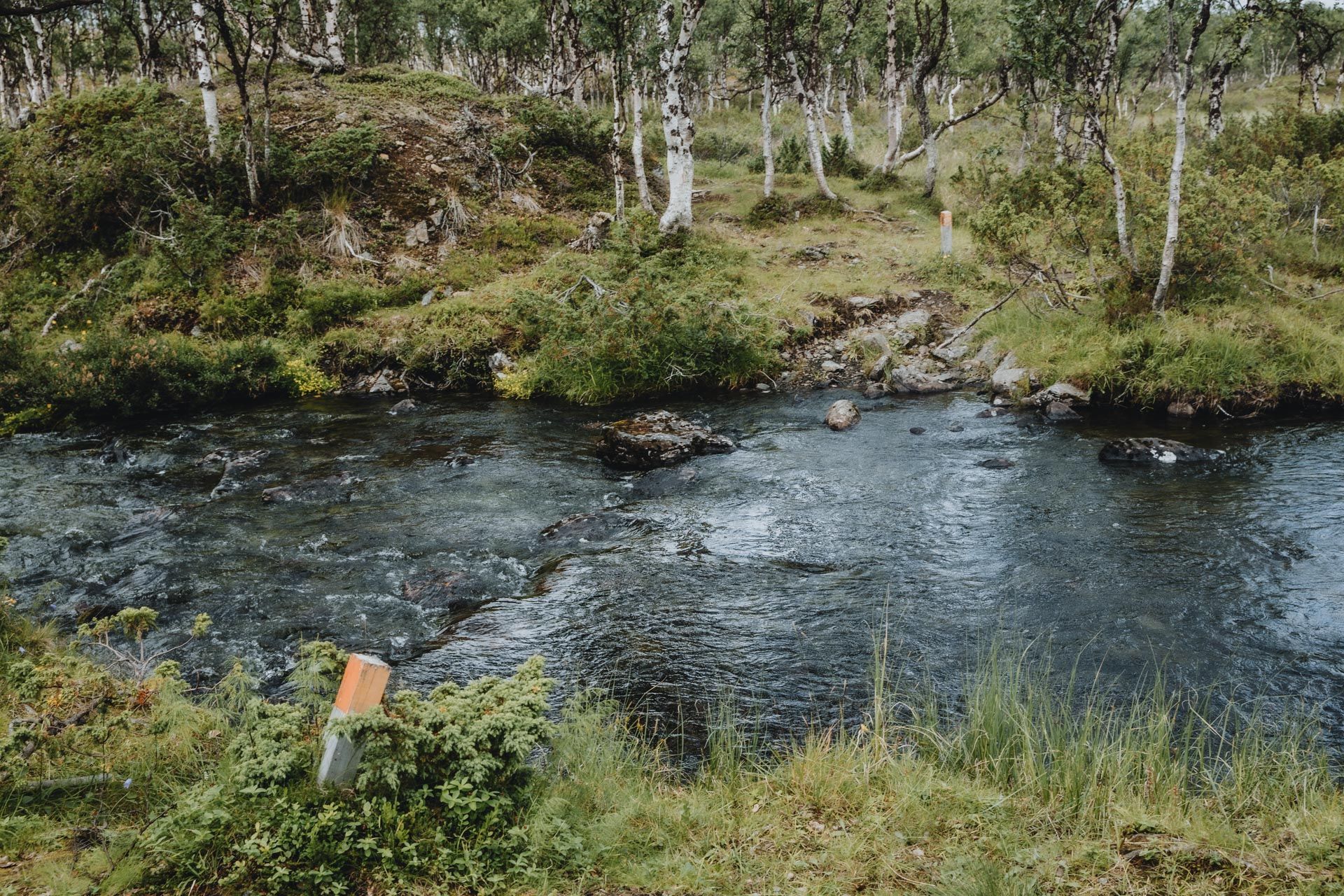 Sevettijärvi-Pulmanki Trail River in Kaldoaivi