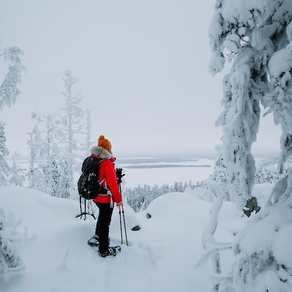 Koli National Park, Finland