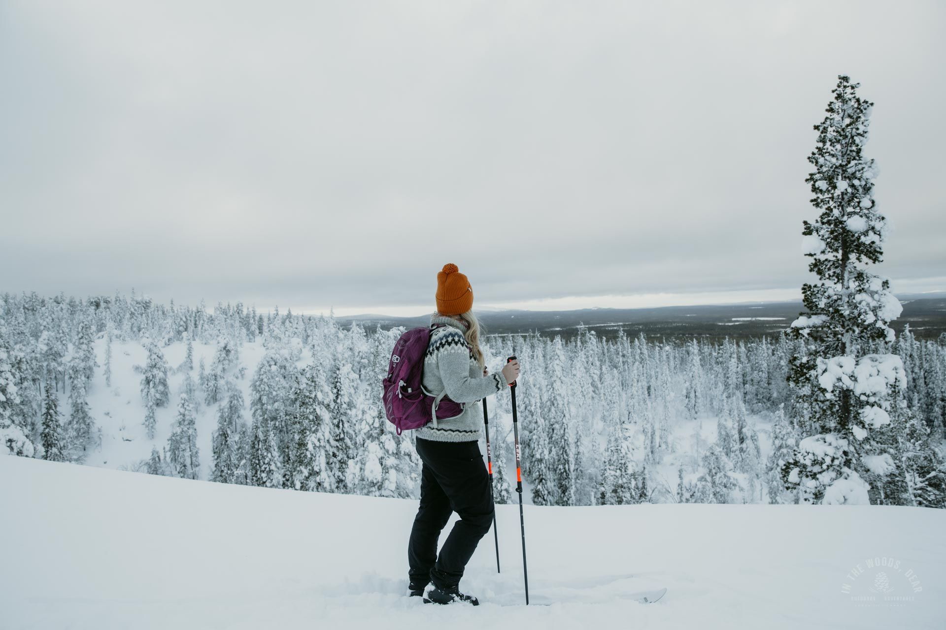 Karhunjuomalampi talvella