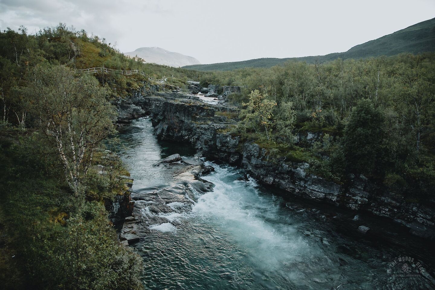 Abisko Canyon - Swedish Lapland Hikes - In the Woods, Dear
