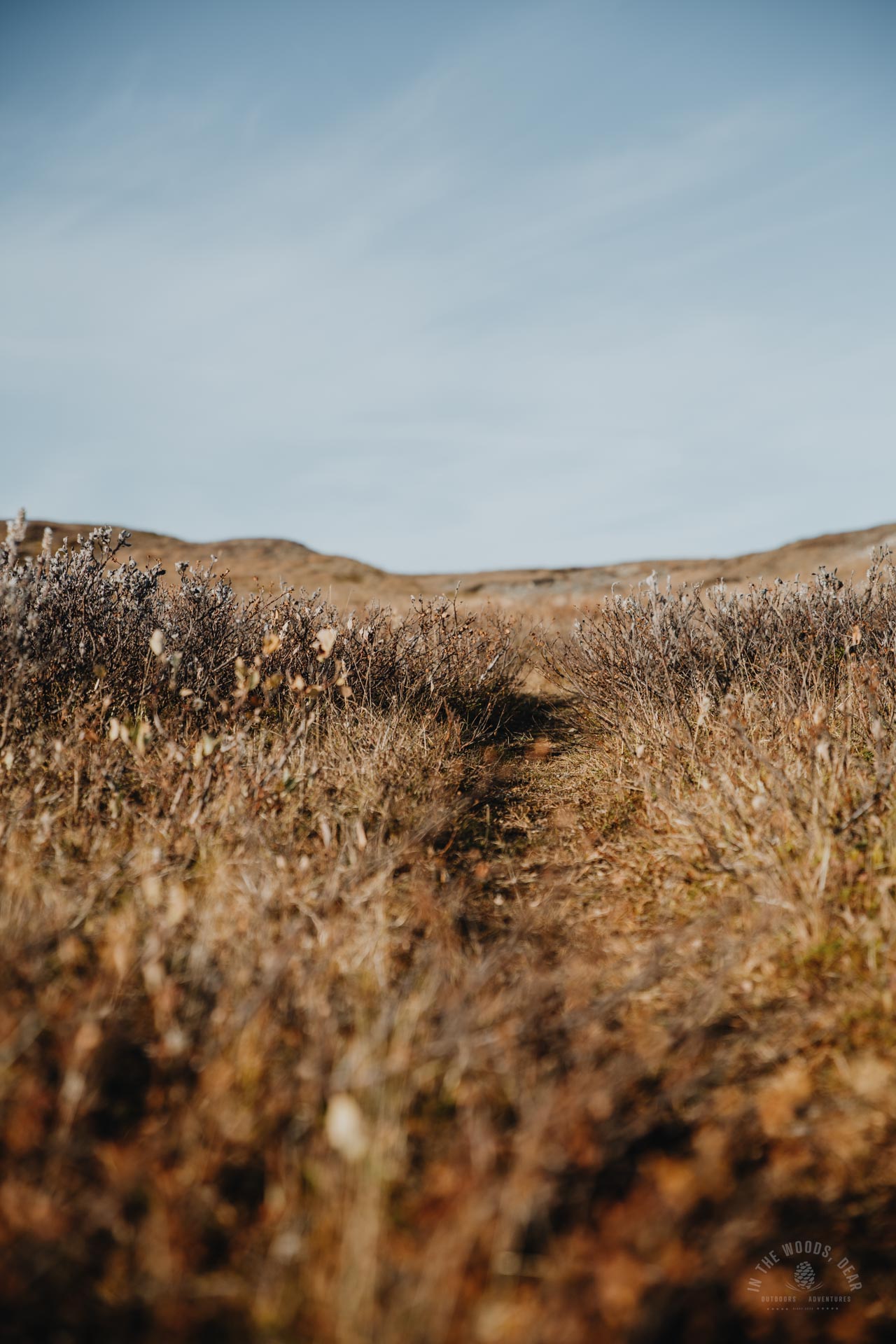 Arctic Trail in autumn