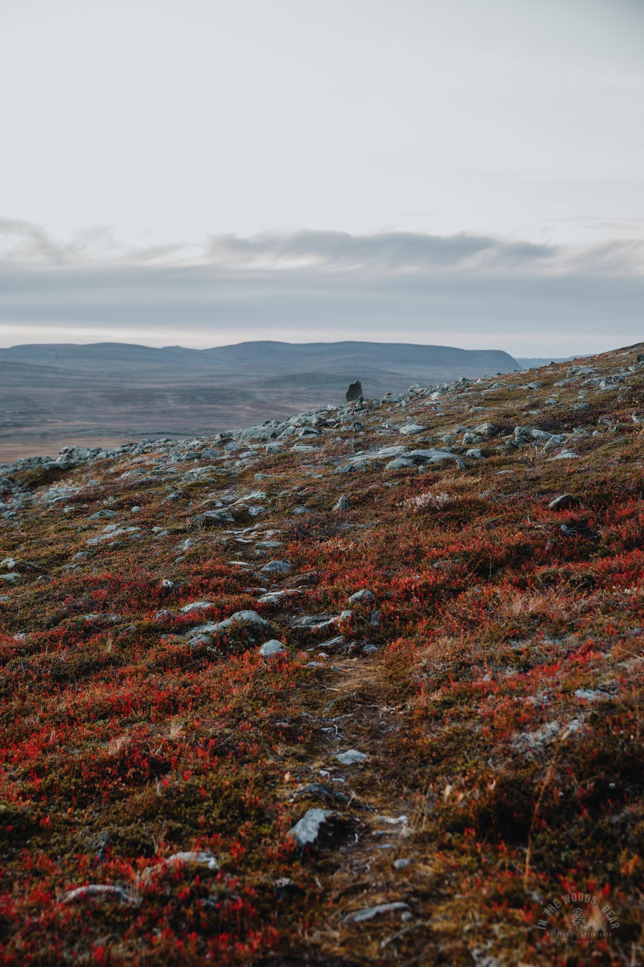 Arctic Trail Guolasjavri Halti