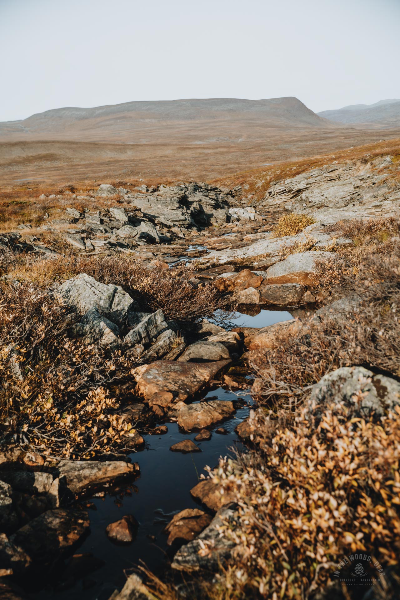 Arctic Trail stream