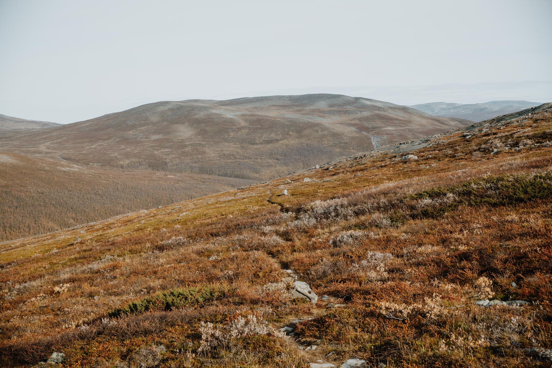 Arctic Trail Nordkalottleden