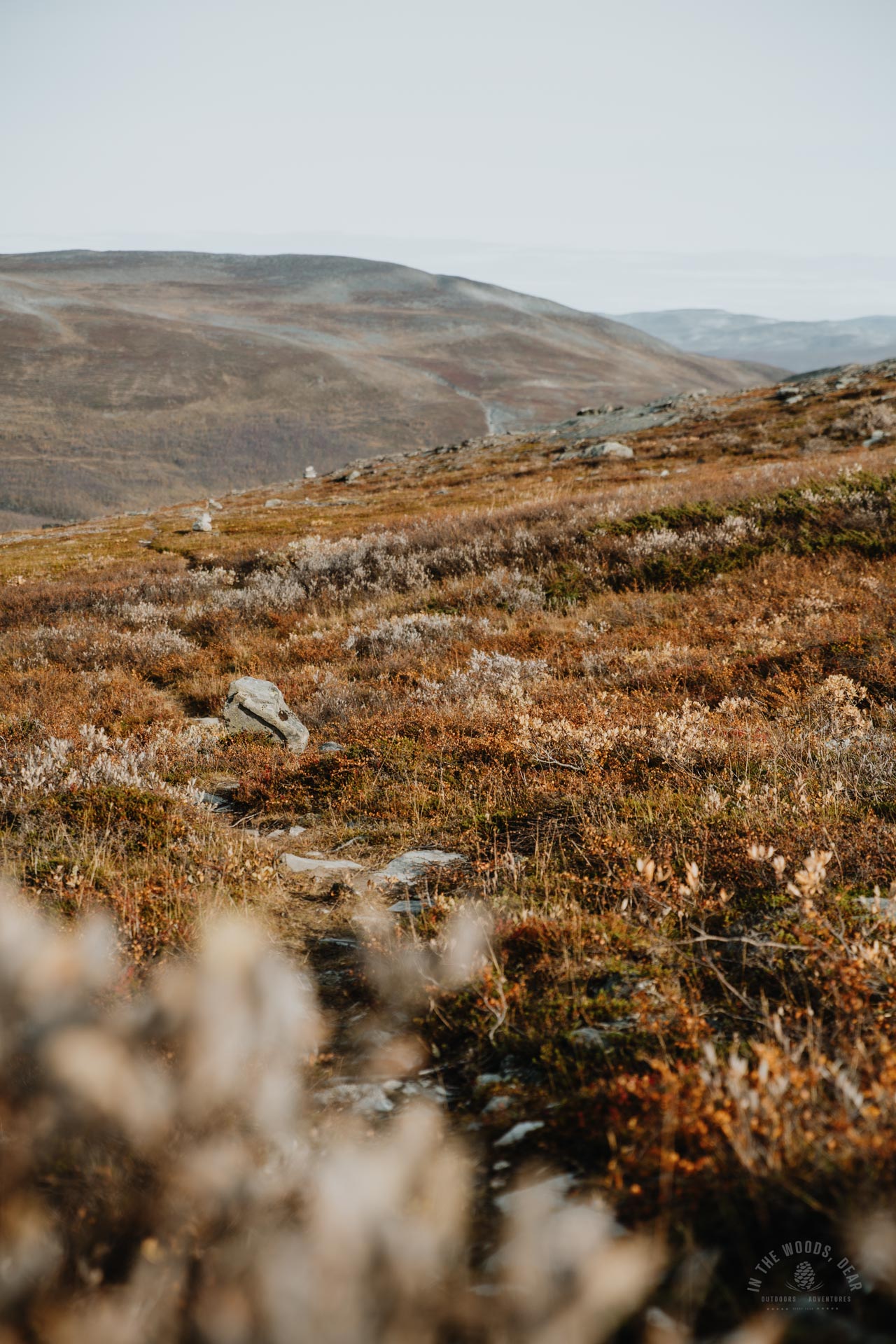 Arctic Trail Nordkalottleden