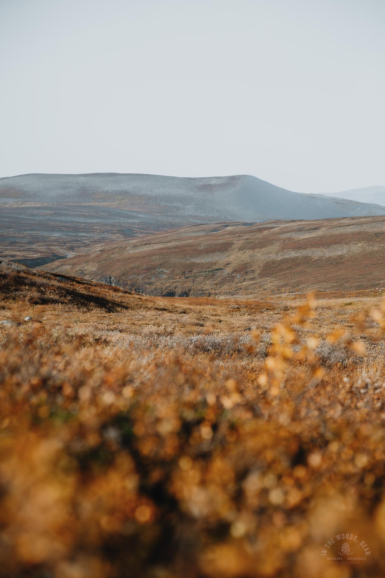 Arctic Trail Reisadalen authentic experiences