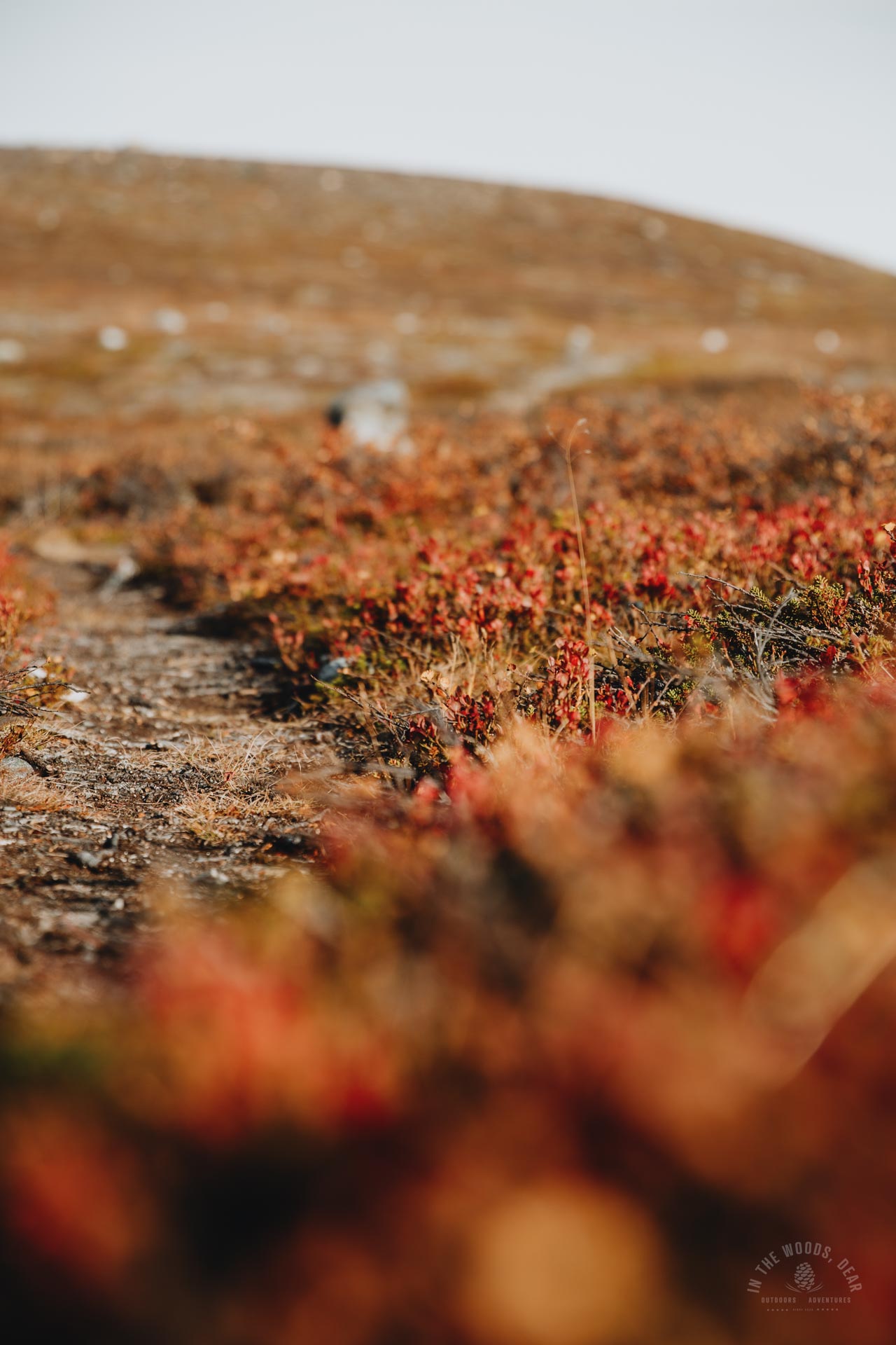 Experiences from Arctic Trail hike