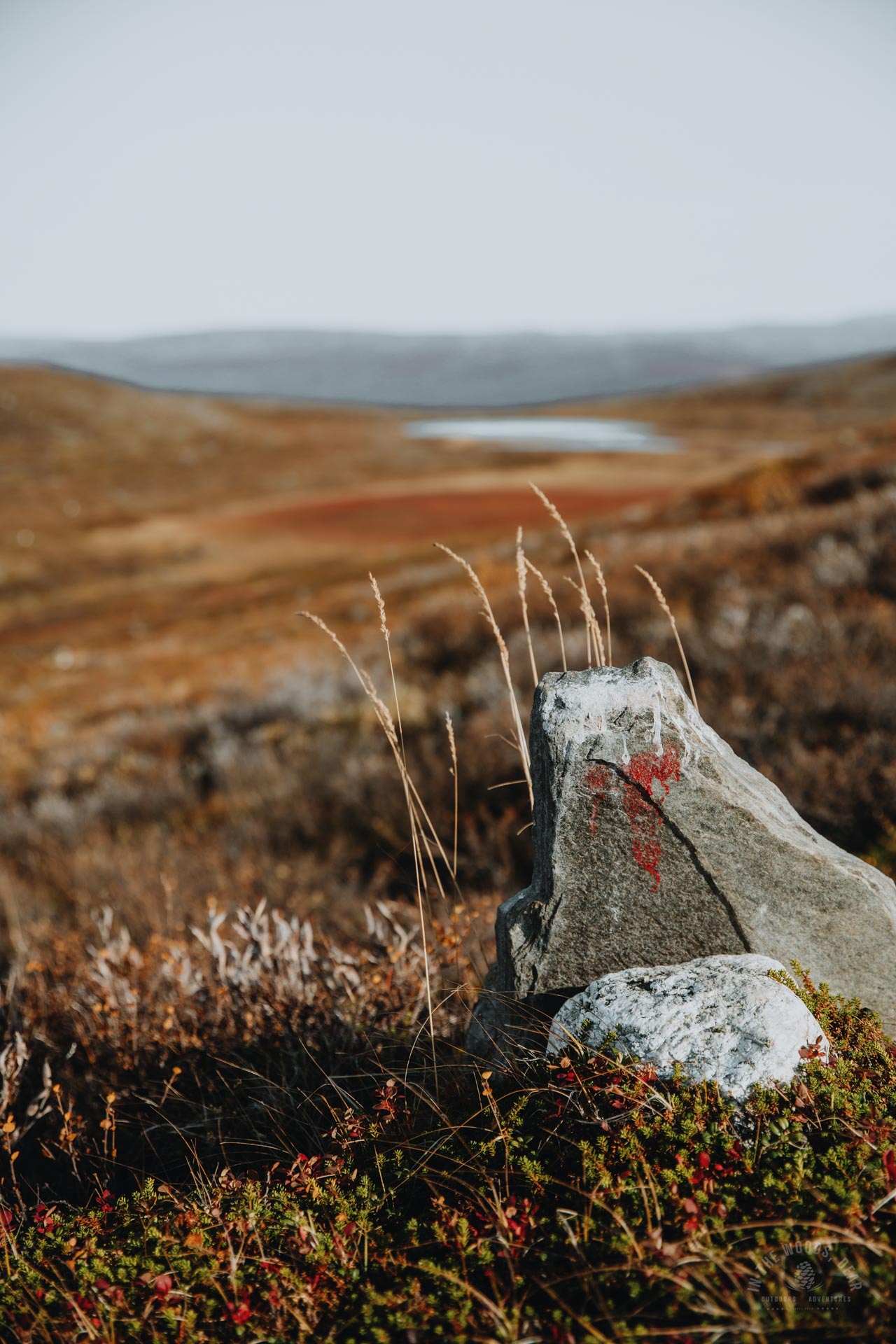 Arctic Trail mark