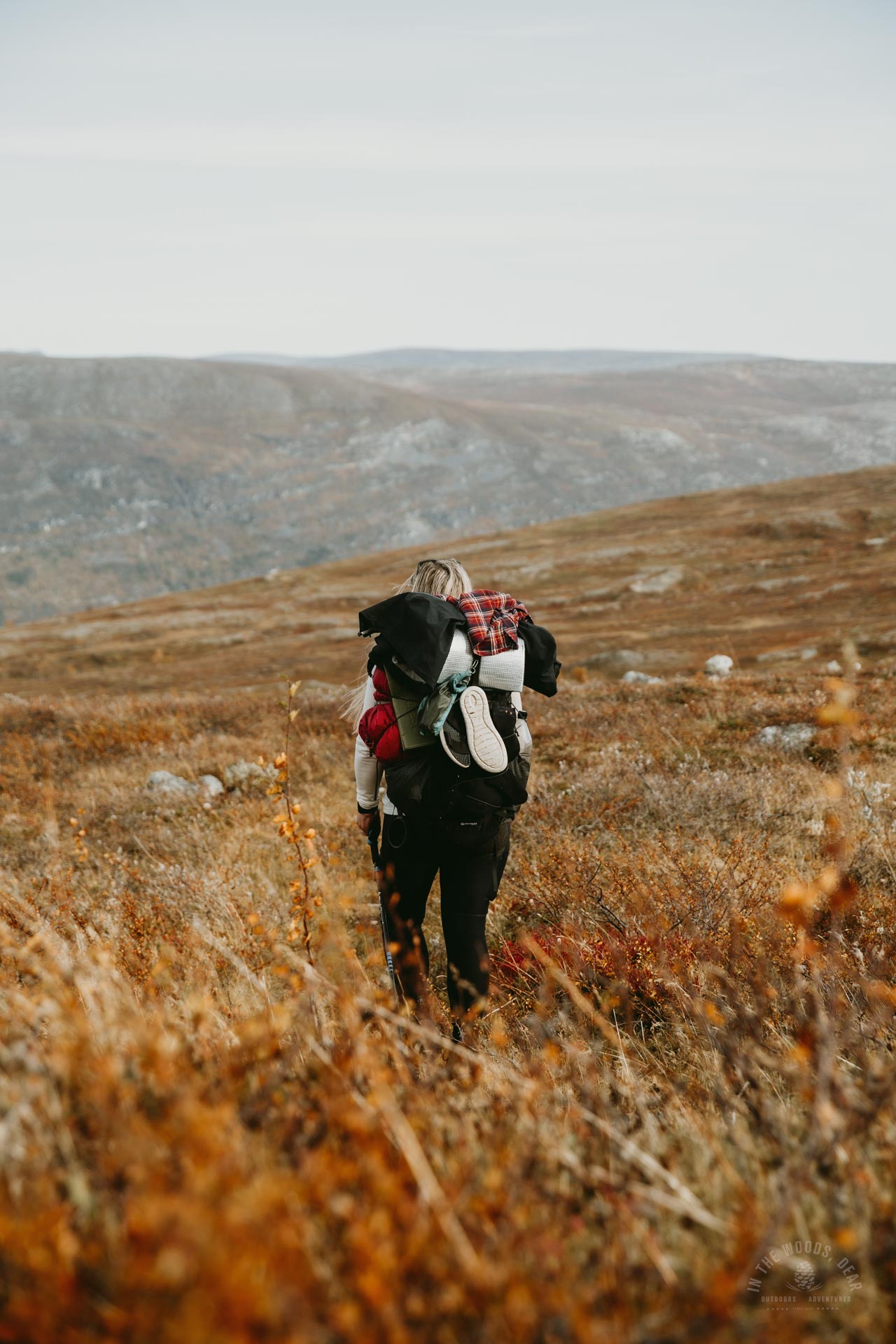 Arctic Trail hiking Nordkalottleden