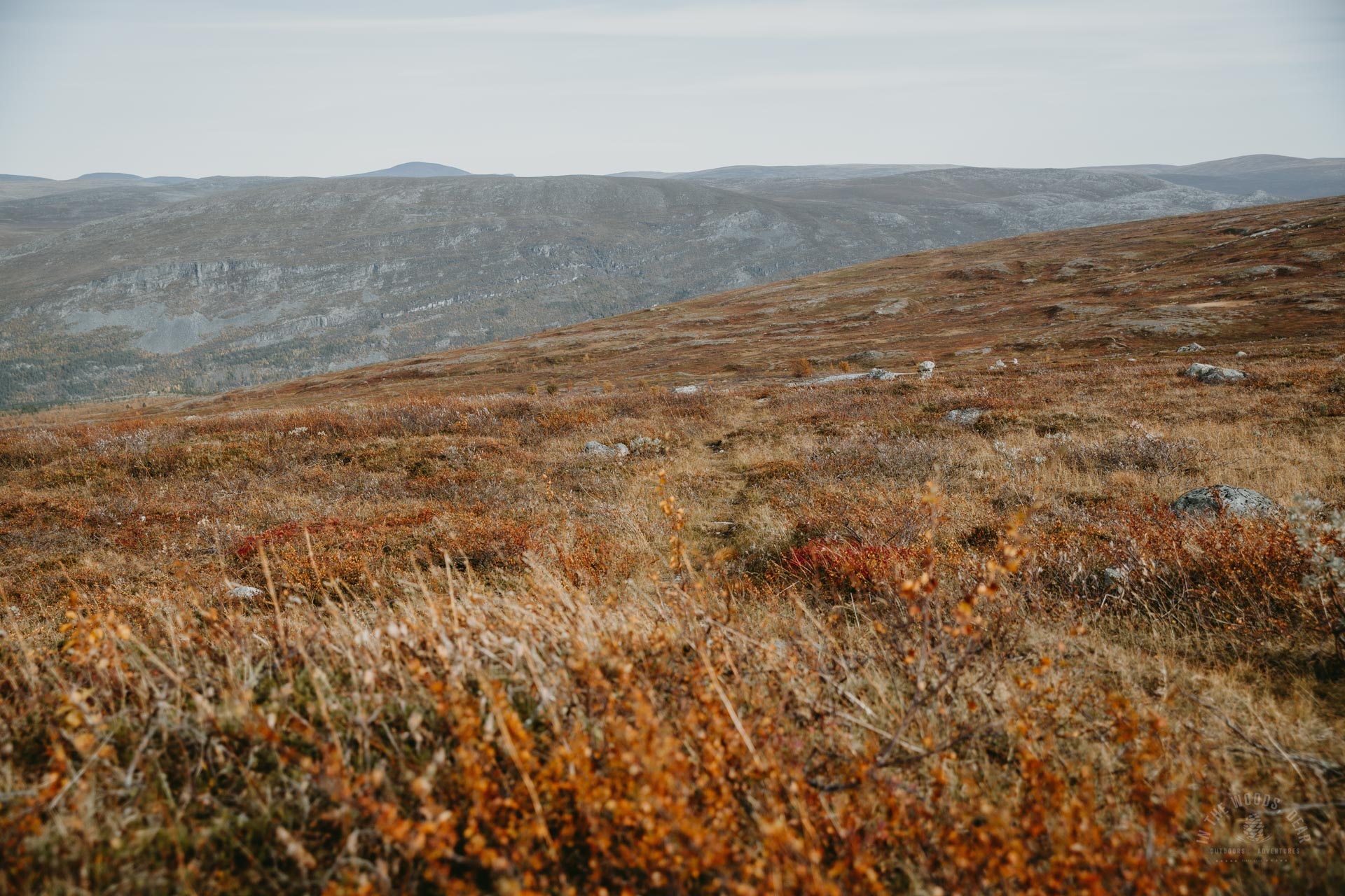 Arctic Trail Reisadalen