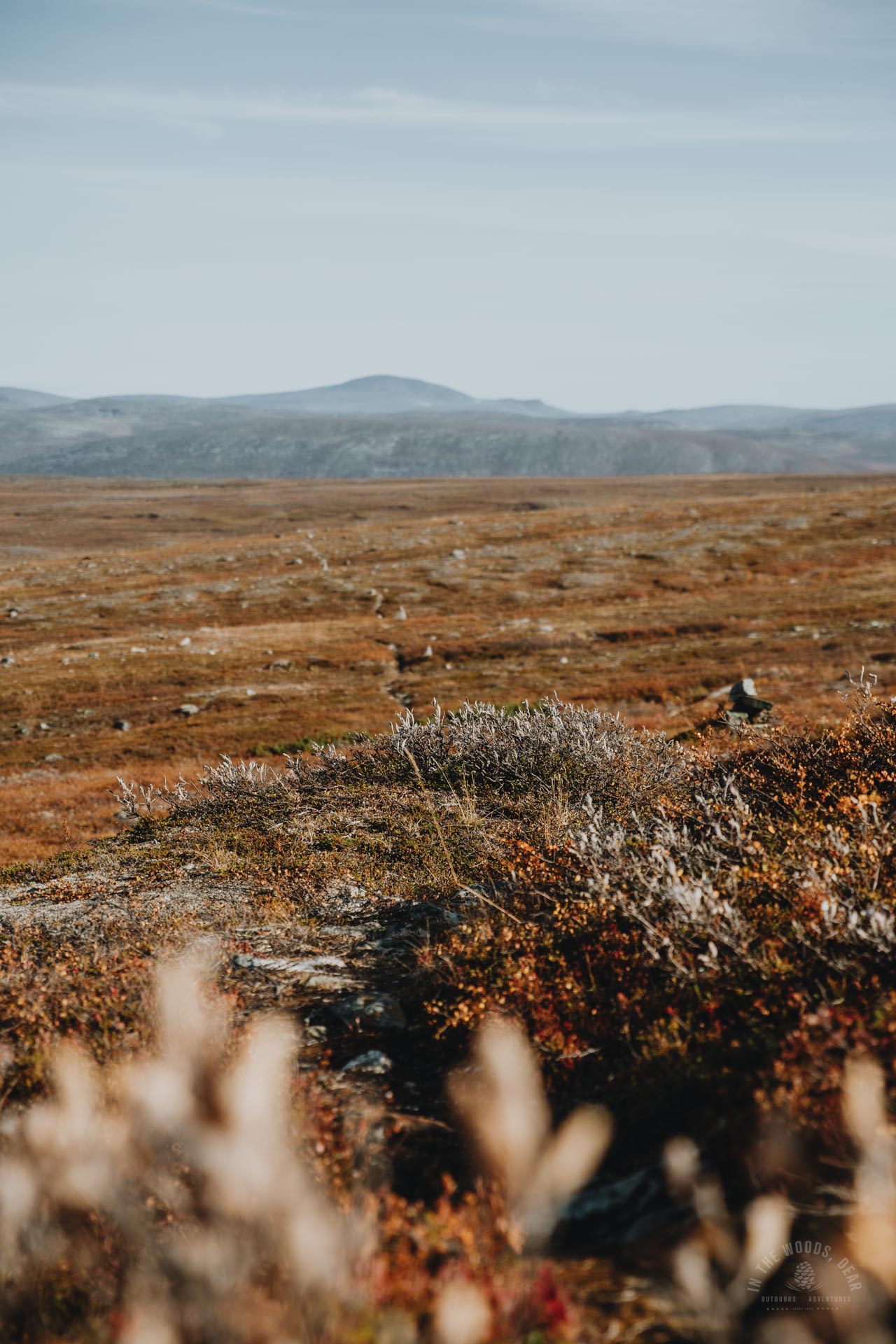 Arctic Trail Reisadalen