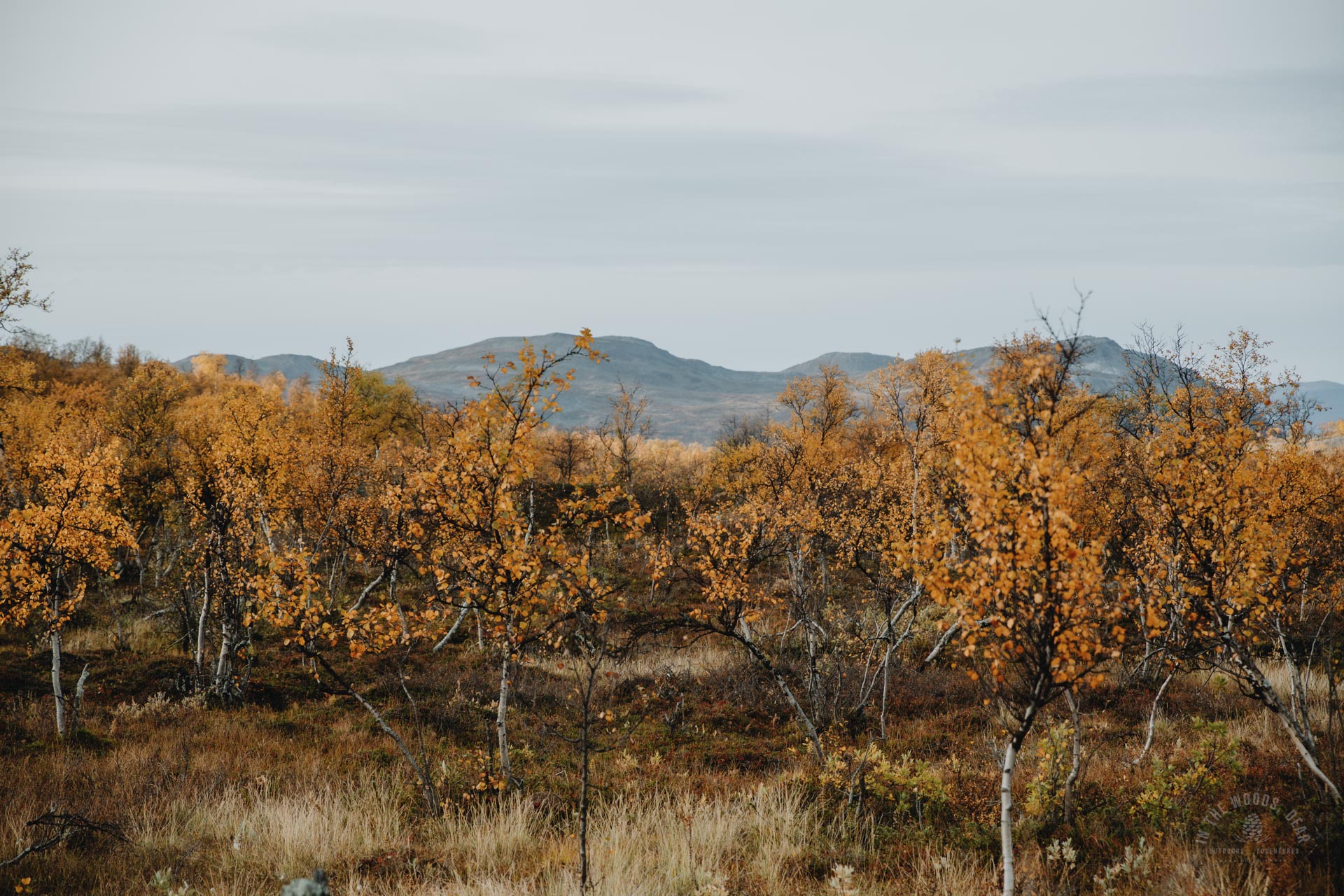 Reisadalen and Arctic Trail