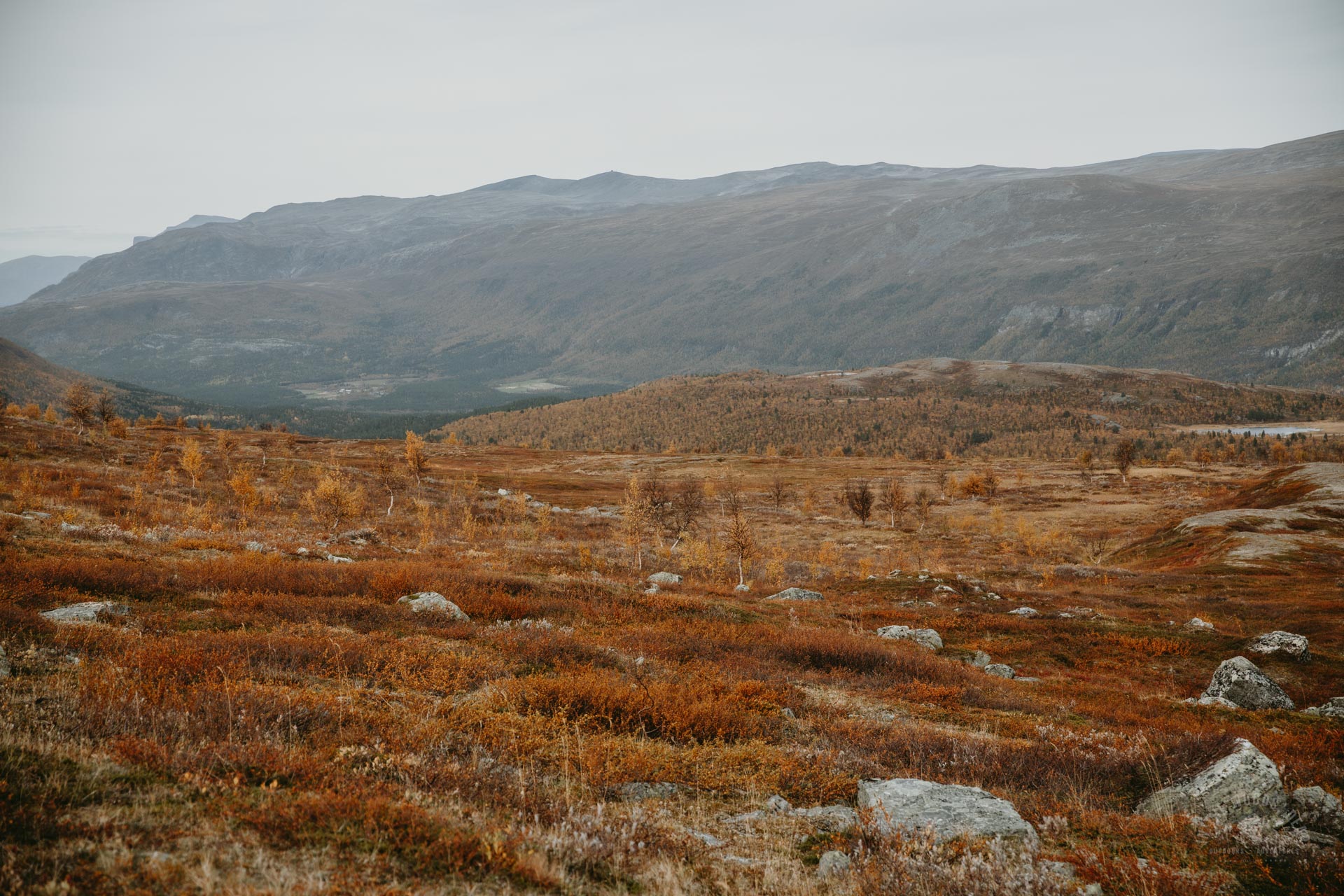Reisadalen Arctic Trail