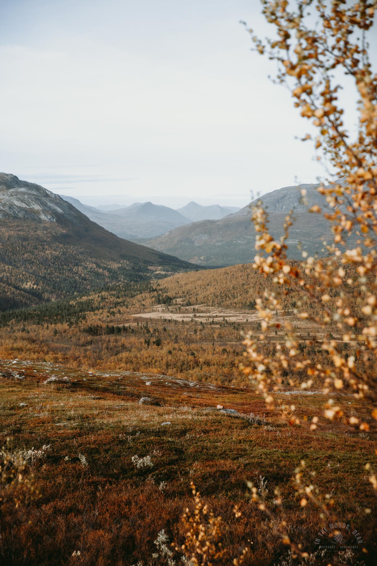Reisadalen Arctic Trail