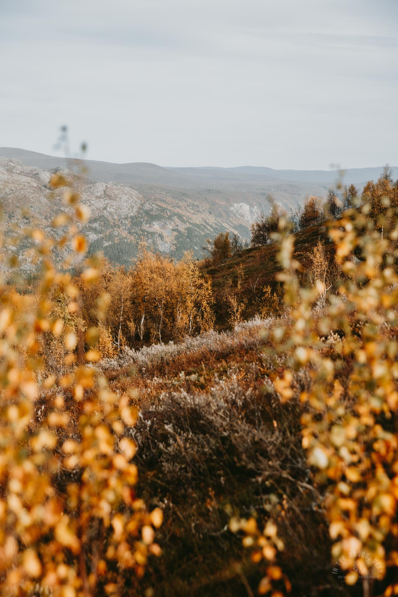 Reisadalen Arctic Trail in autumn