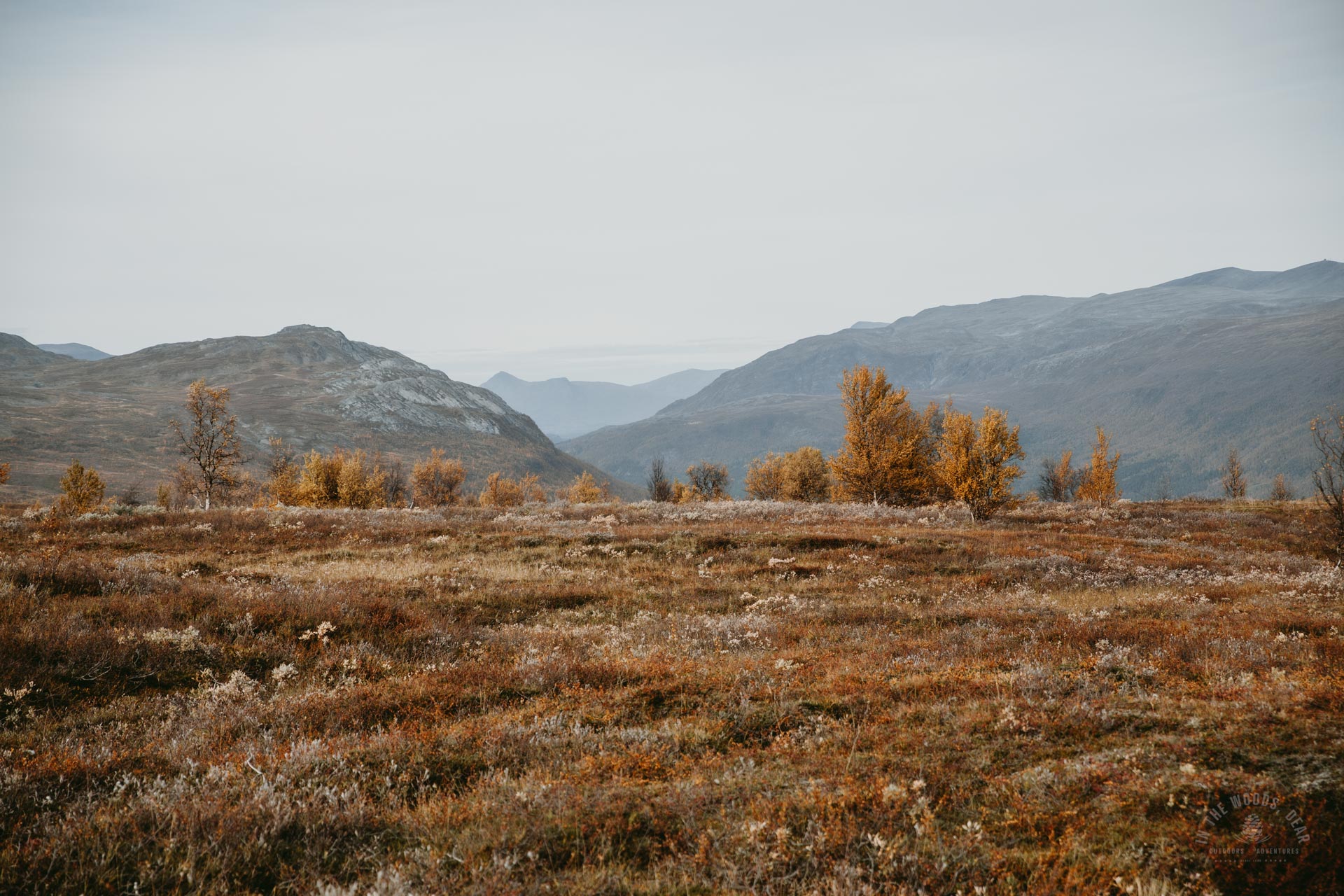 Reisadalen Arctic Trail hike
