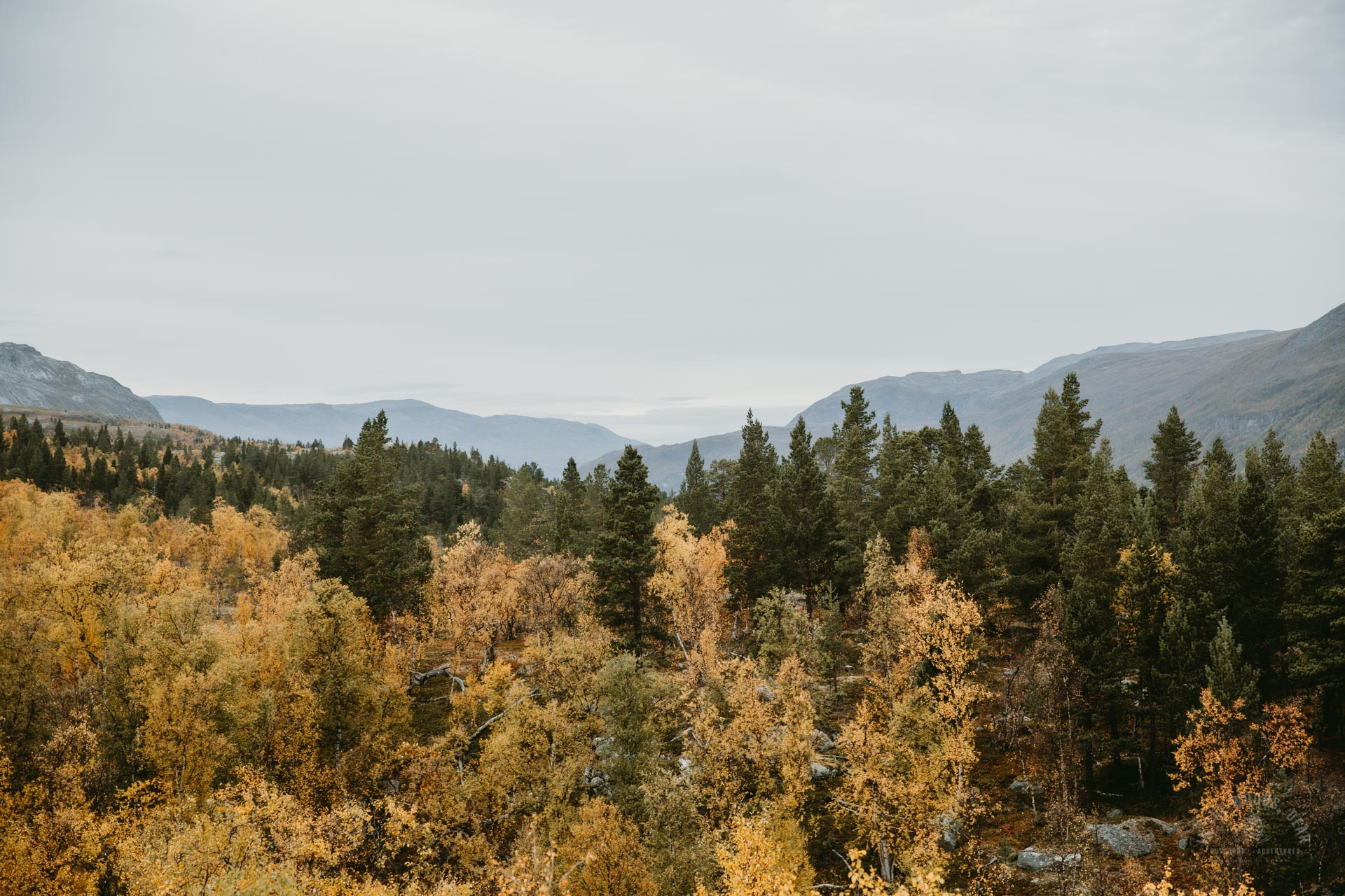 Arctic Trail Sarafossen