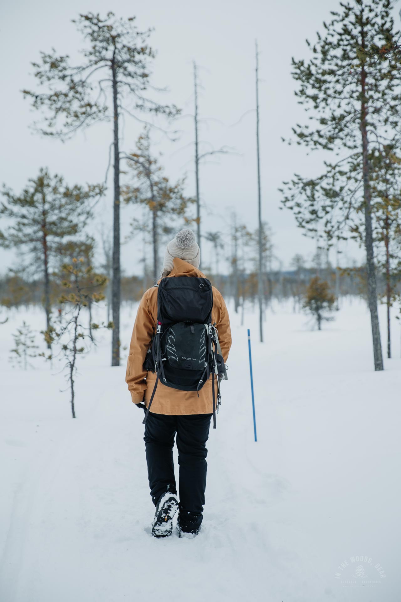Pyhätunturi helmikuu