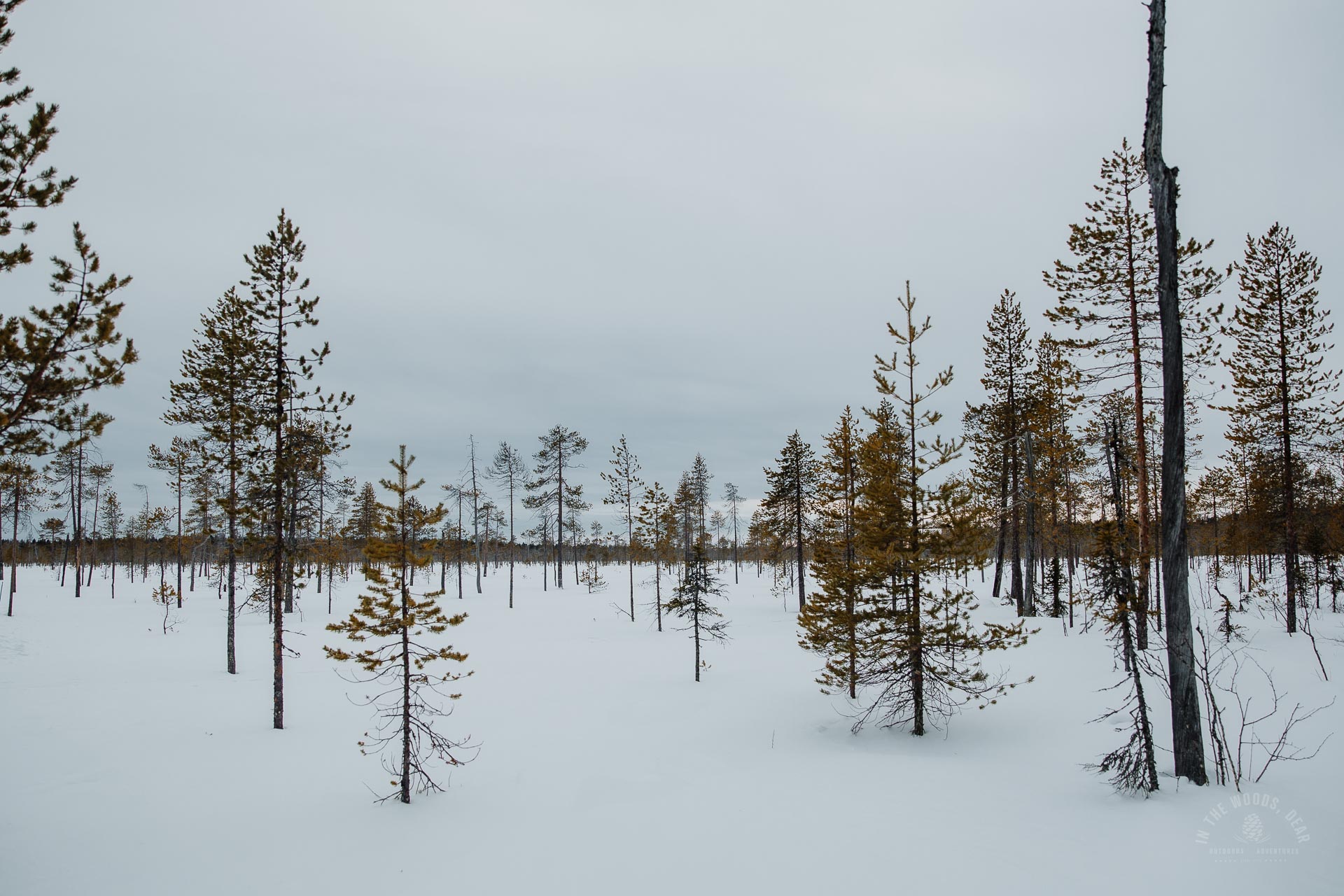 Pyhätunturin polut talvi